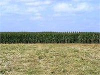 A G Family Farms LLC