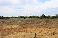 Stewart Land Auction